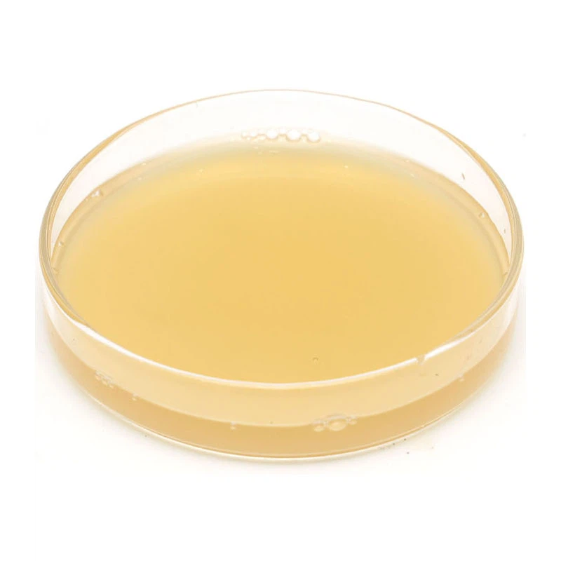 Fish Protein Liquid Fertilizer